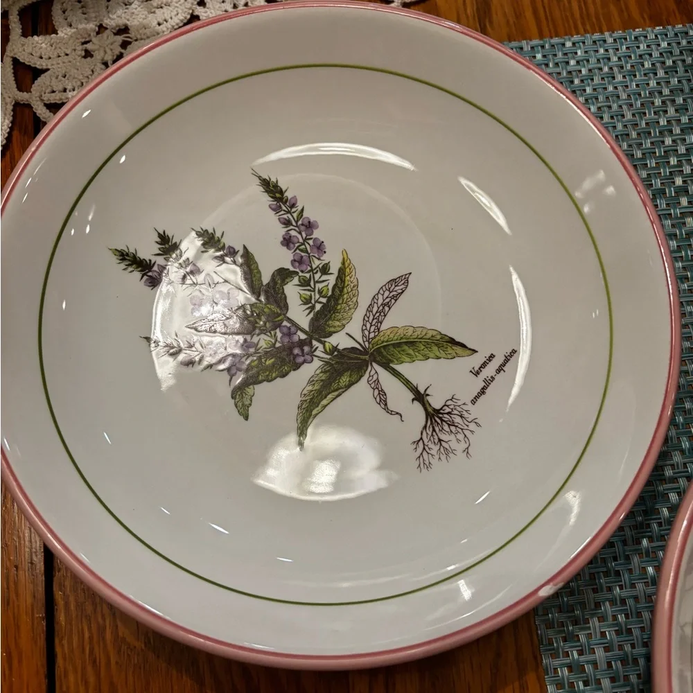 Williams Sonoma Botanical Dinnerware Set with Red Trim